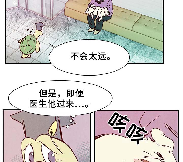 《寻鳞之旅》漫画最新章节第35章老幺免费下拉式在线观看章节第【23】张图片