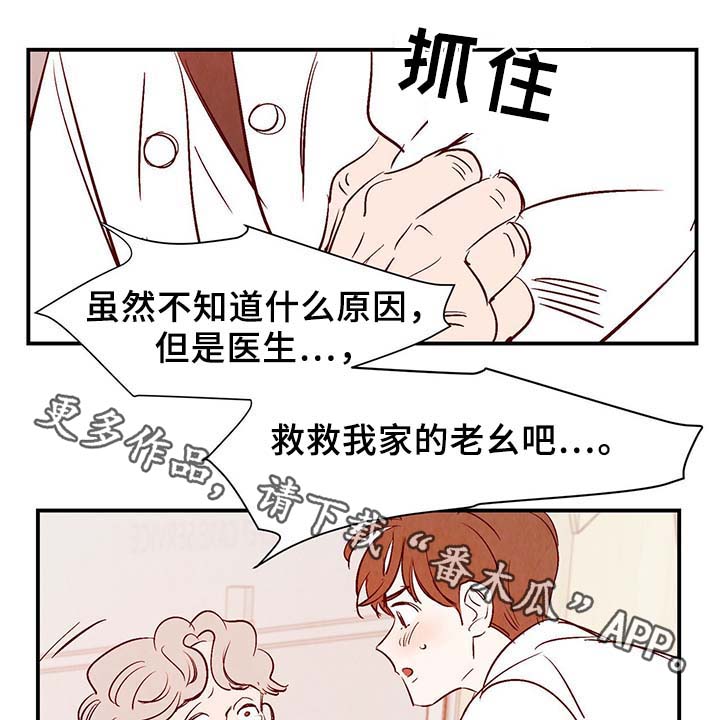 《寻鳞之旅》漫画最新章节第35章老幺免费下拉式在线观看章节第【4】张图片