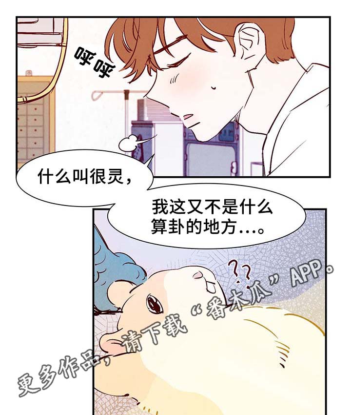 《寻鳞之旅》漫画最新章节第30章电梯免费下拉式在线观看章节第【27】张图片