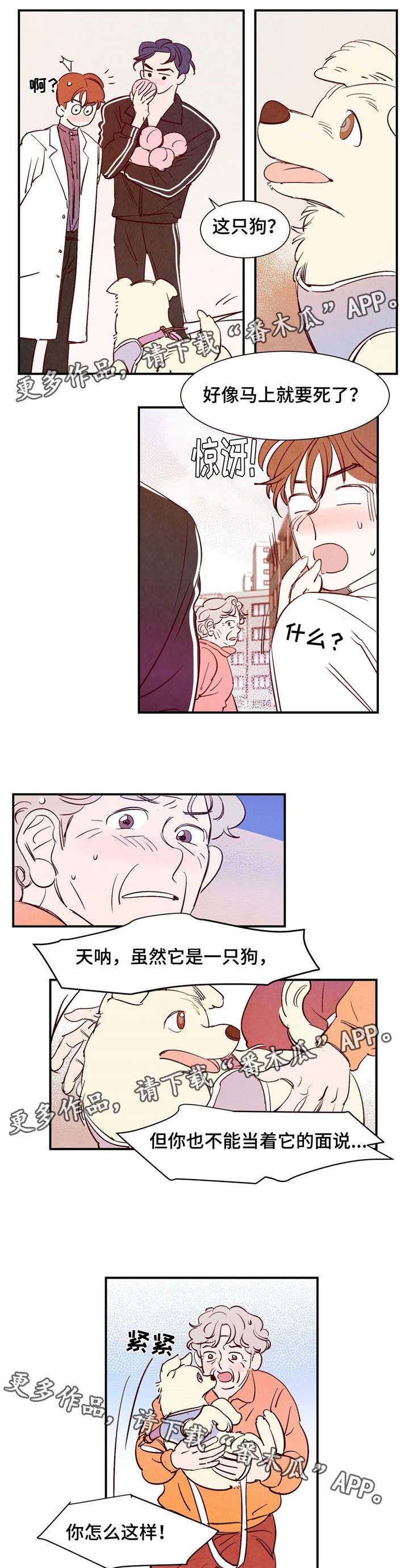 《寻鳞之旅》漫画最新章节第9章遇见你之后免费下拉式在线观看章节第【5】张图片