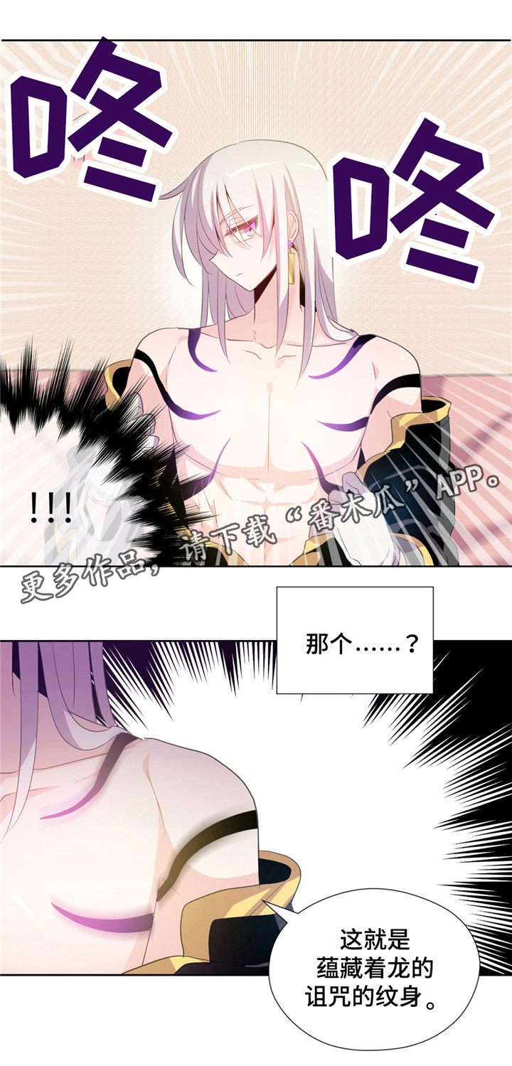 《皇族封印》漫画最新章节第4章诅咒免费下拉式在线观看章节第【2】张图片