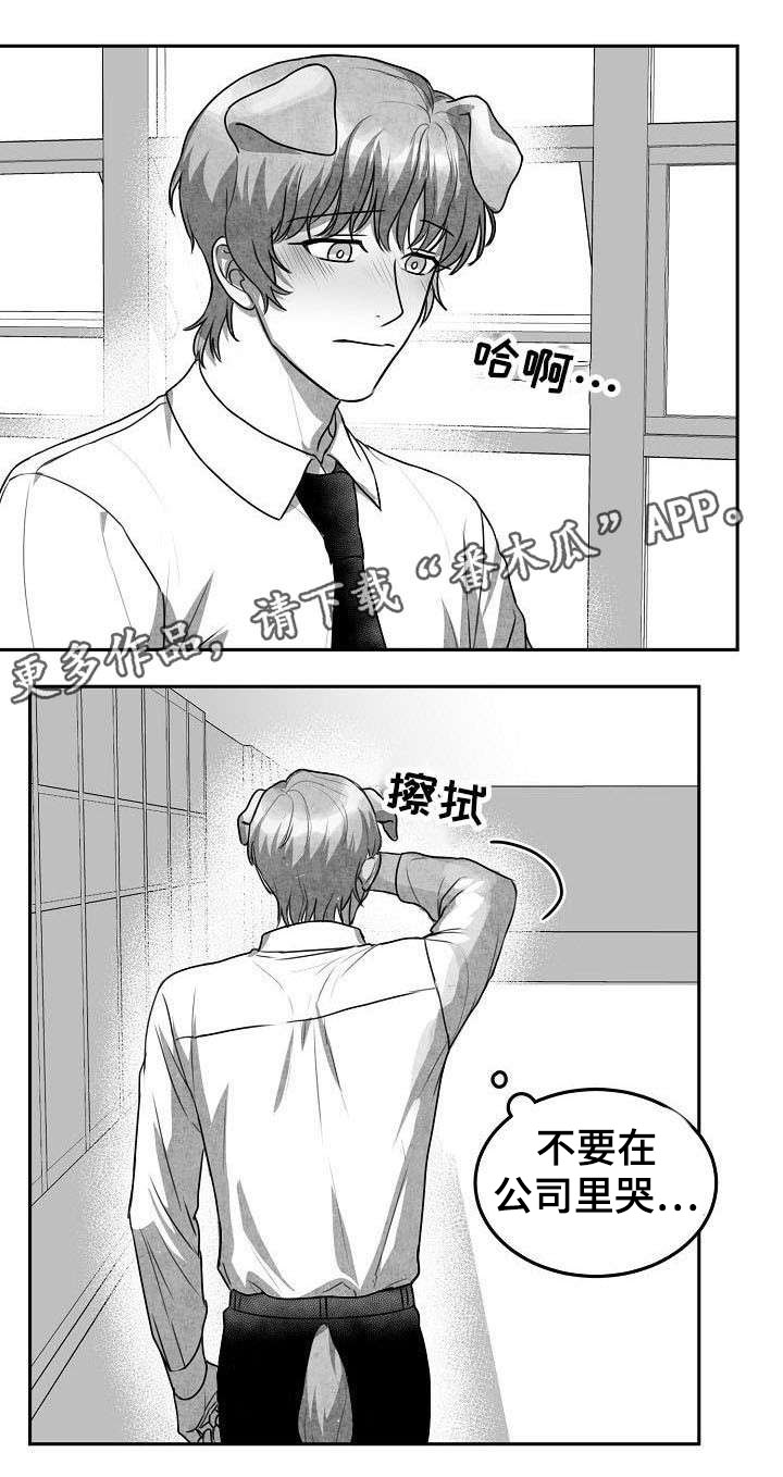 《兽人同体》漫画最新章节第20章变回原形免费下拉式在线观看章节第【6】张图片