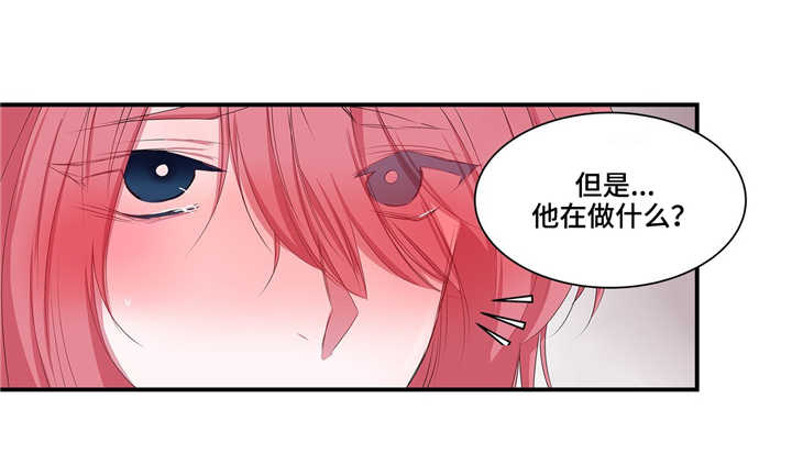 《特别研究》漫画最新章节第24章像麻雀一样可爱免费下拉式在线观看章节第【33】张图片