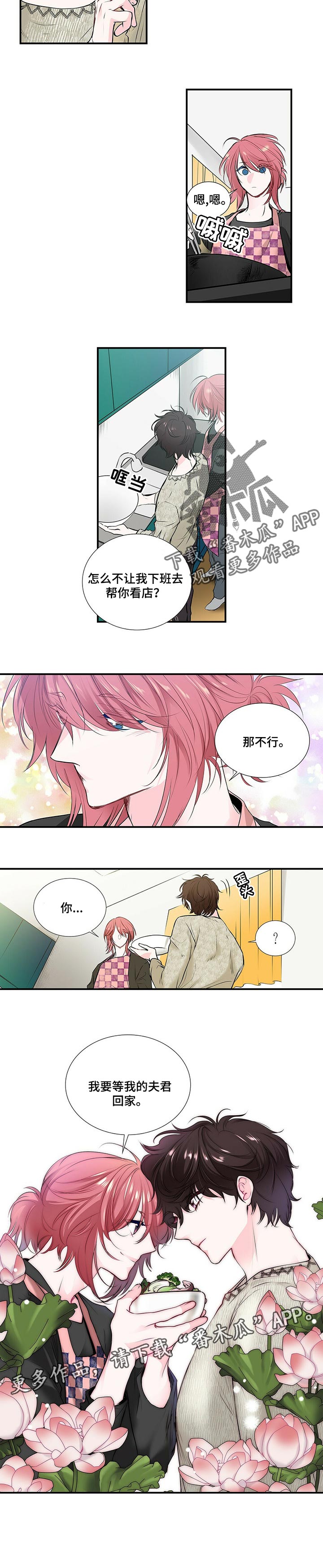 《特别研究》漫画最新章节第115章去能结婚的地方免费下拉式在线观看章节第【1】张图片