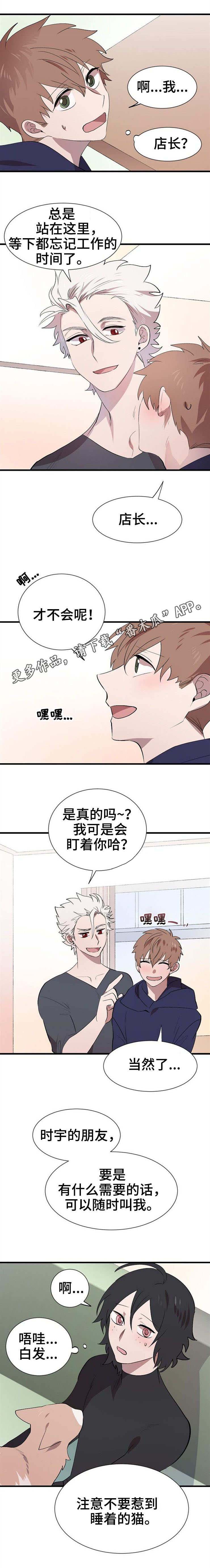 《魔力预警》漫画最新章节第27章变化免费下拉式在线观看章节第【10】张图片