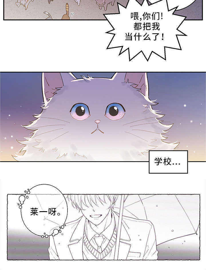 《亲爱的喵君》漫画最新章节第1章传说免费下拉式在线观看章节第【15】张图片