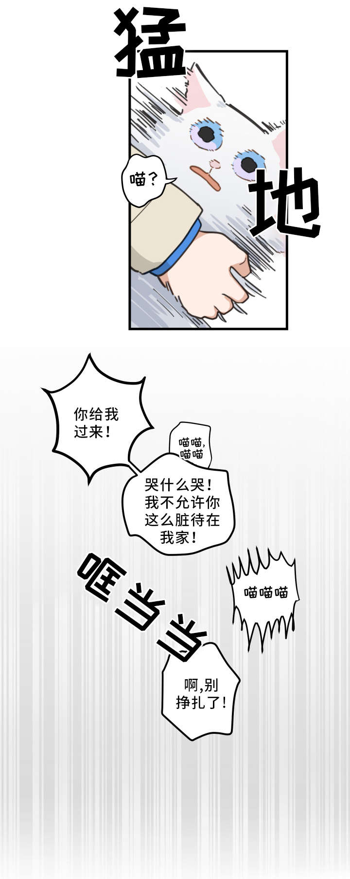 《亲爱的喵君》漫画最新章节第2章白猫免费下拉式在线观看章节第【16】张图片