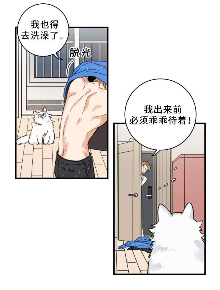 《亲爱的喵君》漫画最新章节第2章白猫免费下拉式在线观看章节第【13】张图片