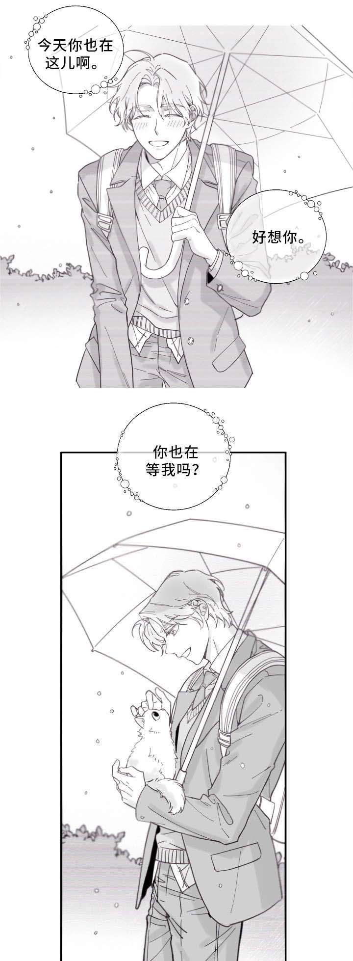 《亲爱的喵君》漫画最新章节第2章白猫免费下拉式在线观看章节第【9】张图片