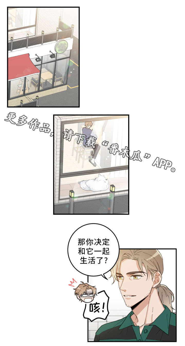 《亲爱的喵君》漫画最新章节第10章负责到底免费下拉式在线观看章节第【12】张图片