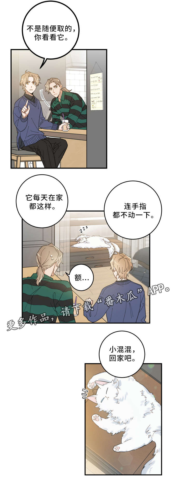 《亲爱的喵君》漫画最新章节第10章负责到底免费下拉式在线观看章节第【9】张图片