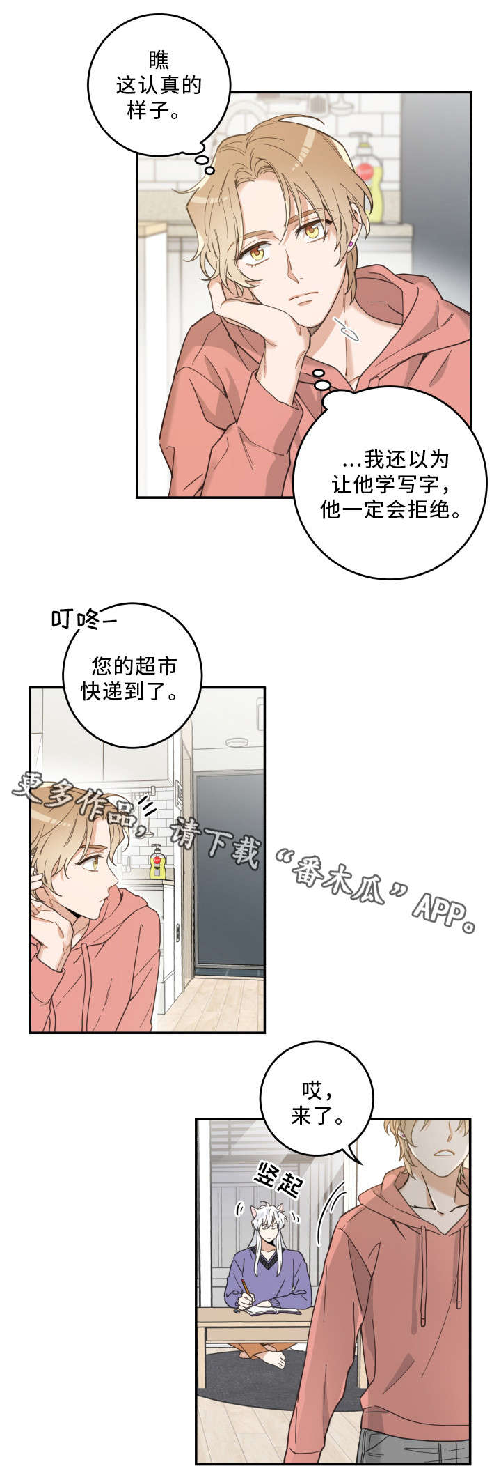 《亲爱的喵君》漫画最新章节第11章钻箱子免费下拉式在线观看章节第【14】张图片