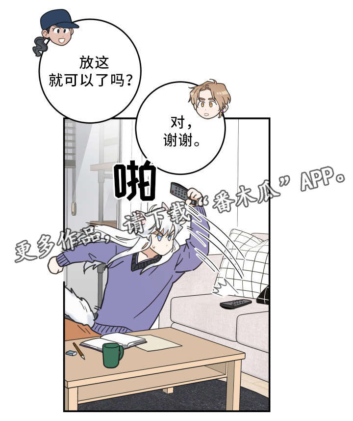 《亲爱的喵君》漫画最新章节第11章钻箱子免费下拉式在线观看章节第【13】张图片