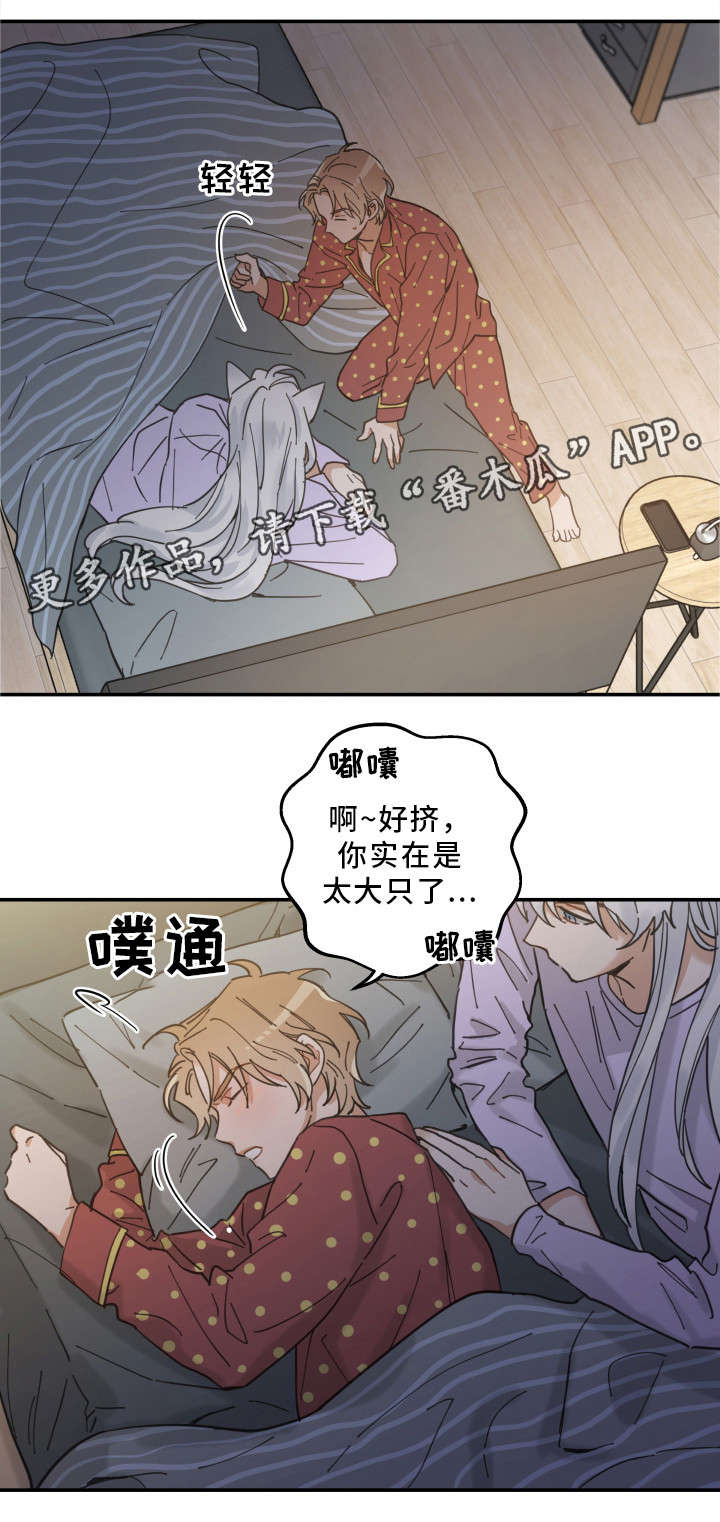 《亲爱的喵君》漫画最新章节第12章无事发生免费下拉式在线观看章节第【11】张图片