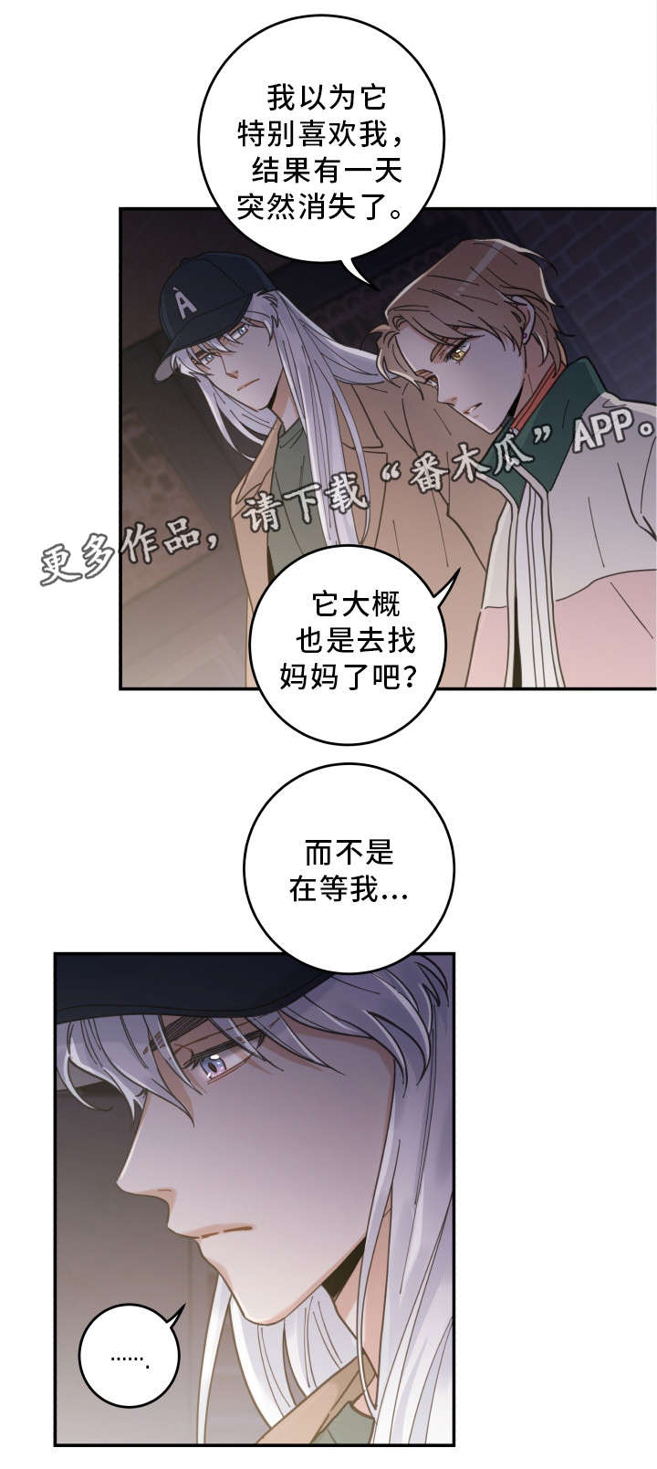 《亲爱的喵君》漫画最新章节第16章白猫莱一免费下拉式在线观看章节第【16】张图片