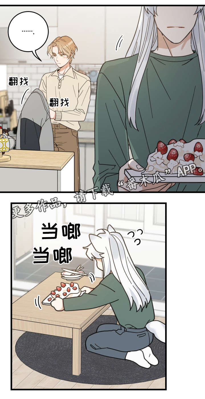 《亲爱的喵君》漫画最新章节第28章蛋糕免费下拉式在线观看章节第【9】张图片