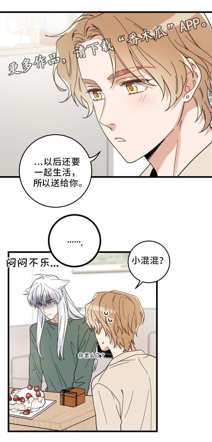 《亲爱的喵君》漫画最新章节第28章蛋糕免费下拉式在线观看章节第【7】张图片