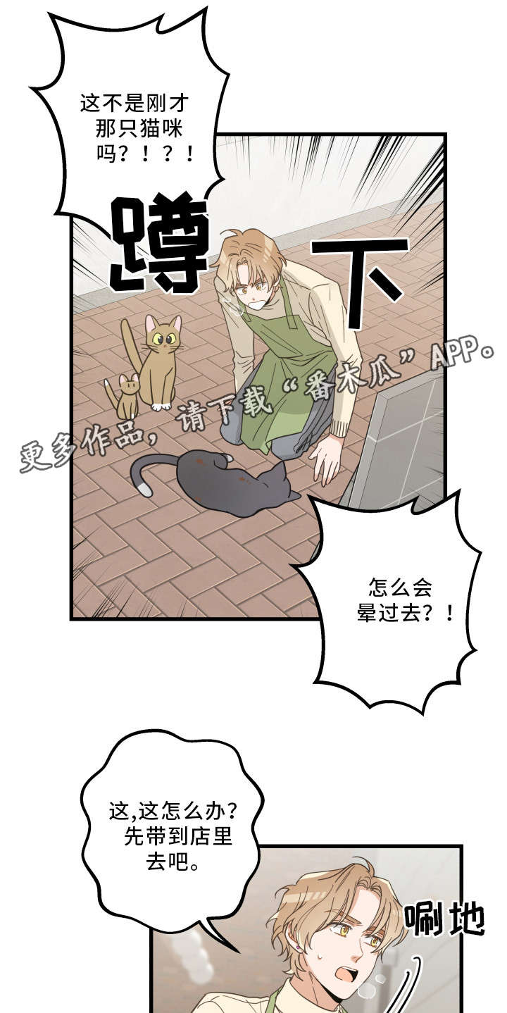 《亲爱的喵君》漫画最新章节第32章晕倒免费下拉式在线观看章节第【7】张图片