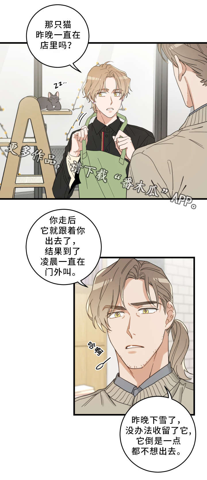 《亲爱的喵君》漫画最新章节第35章盯免费下拉式在线观看章节第【8】张图片