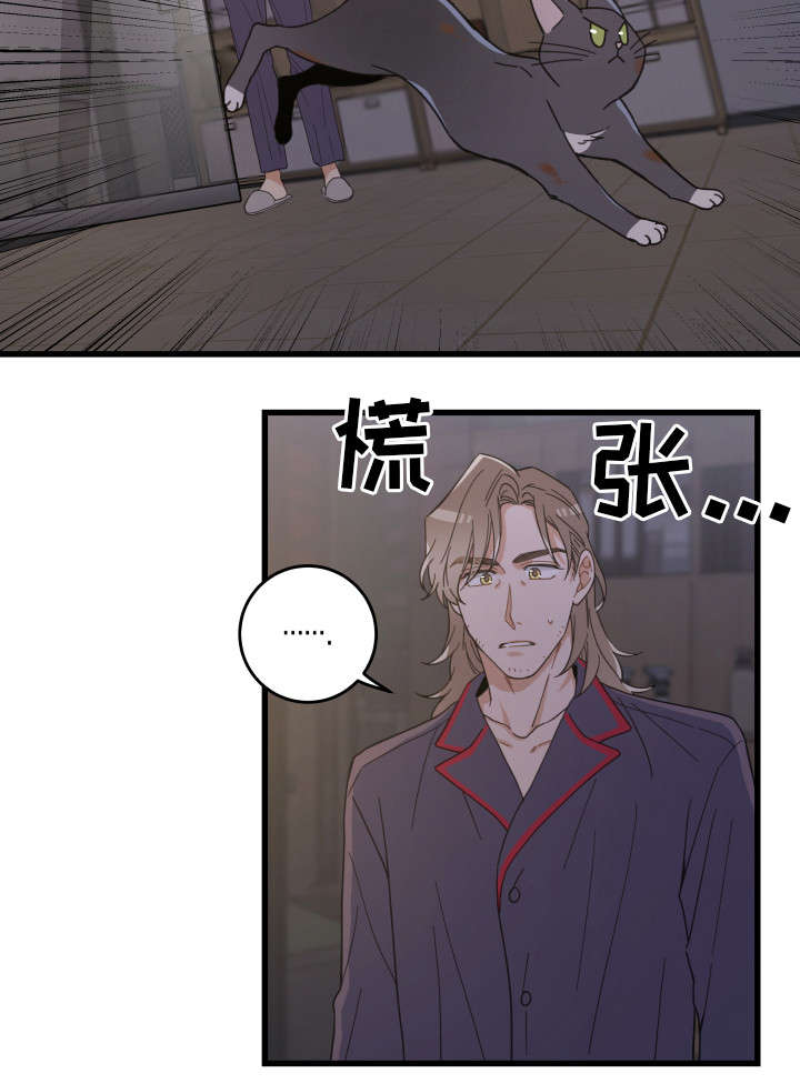 《亲爱的喵君》漫画最新章节第35章盯免费下拉式在线观看章节第【15】张图片