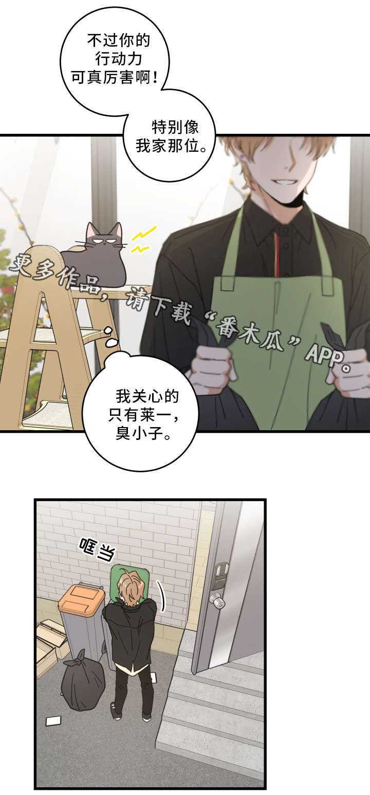 《亲爱的喵君》漫画最新章节第35章盯免费下拉式在线观看章节第【4】张图片