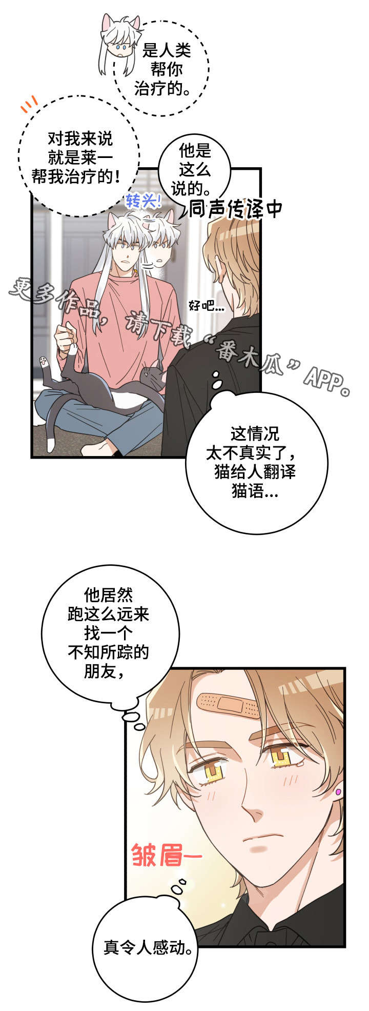 《亲爱的喵君》漫画最新章节第37章试探免费下拉式在线观看章节第【12】张图片