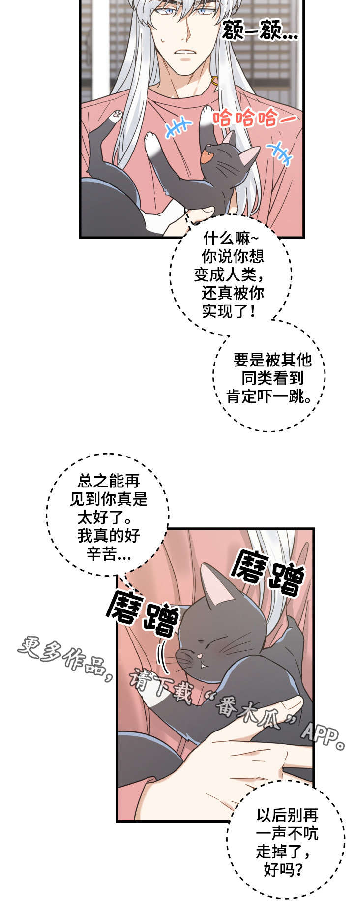 《亲爱的喵君》漫画最新章节第37章试探免费下拉式在线观看章节第【10】张图片