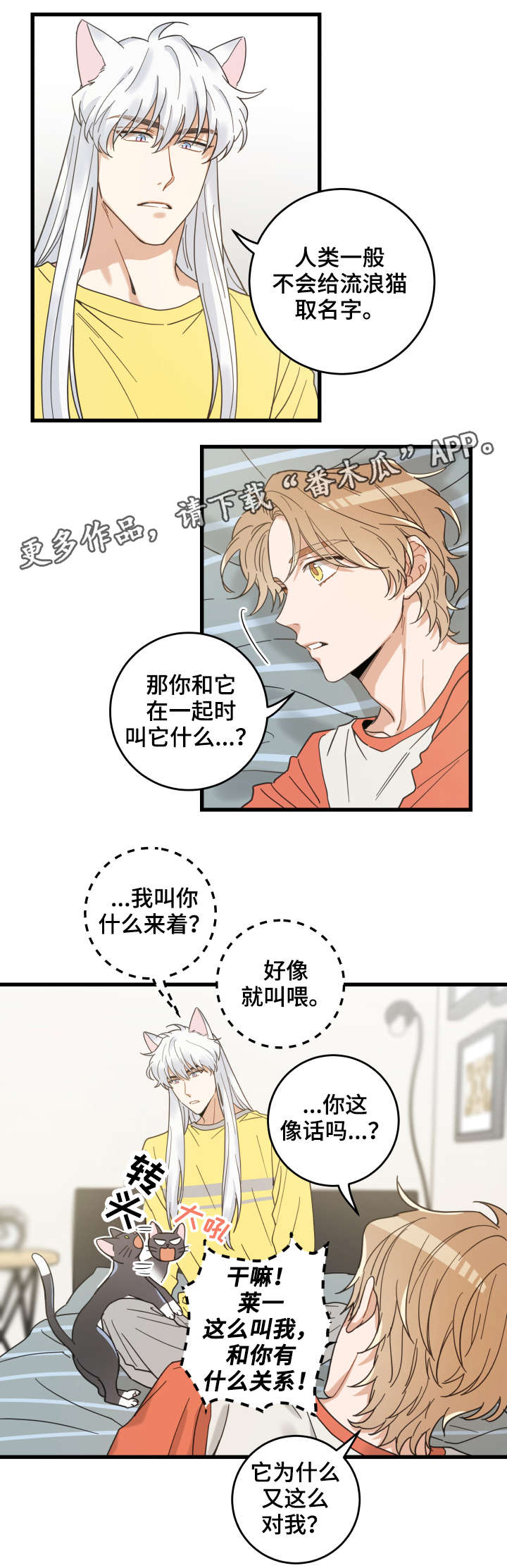 《亲爱的喵君》漫画最新章节第42章臭猫免费下拉式在线观看章节第【9】张图片