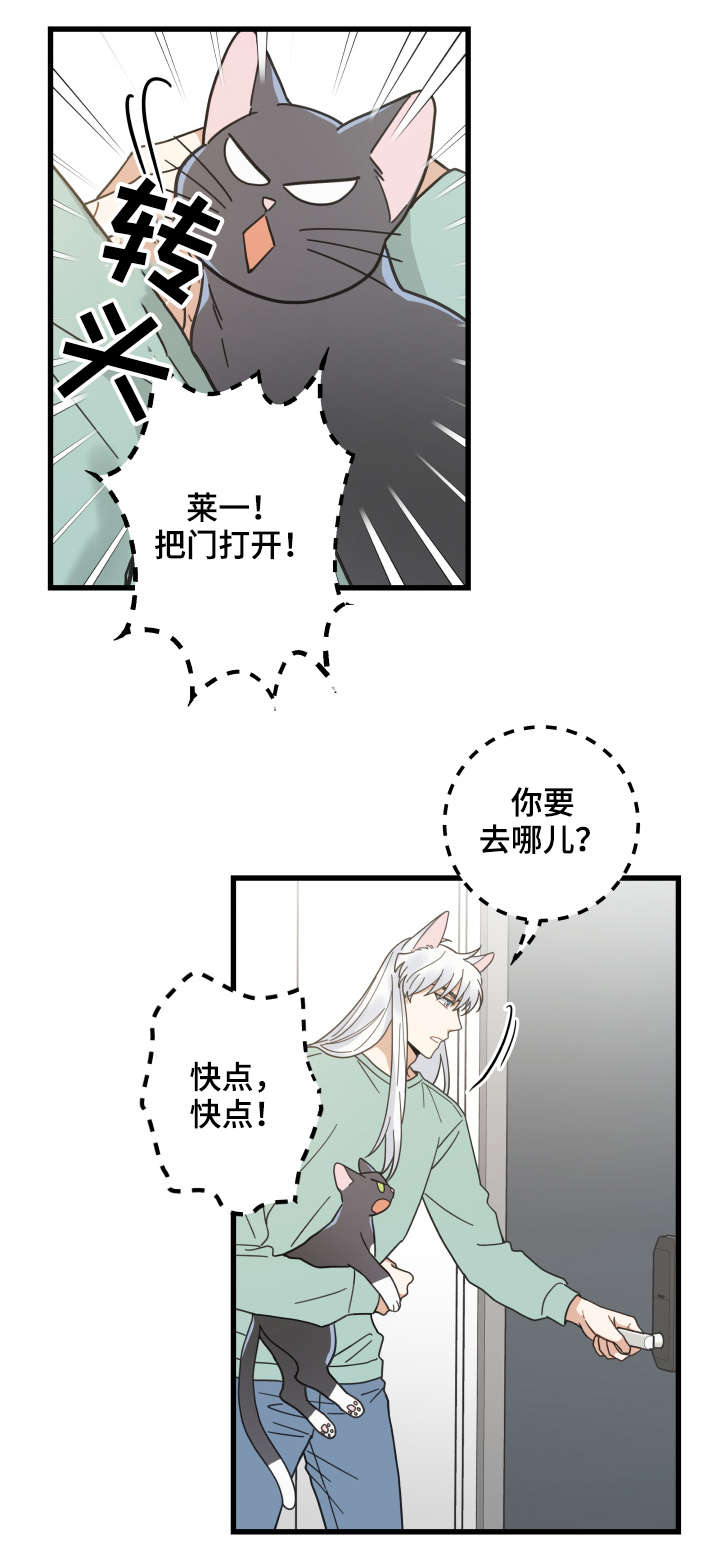 《亲爱的喵君》漫画最新章节第43章叔叔免费下拉式在线观看章节第【18】张图片