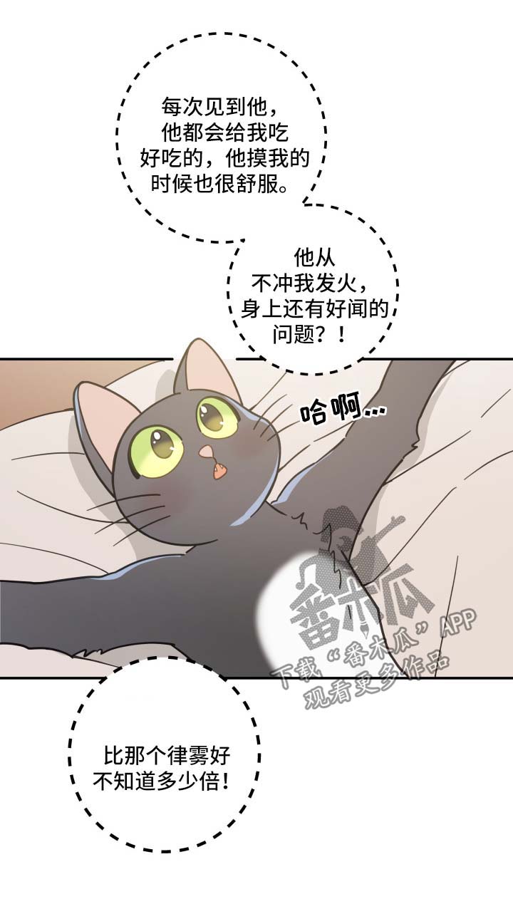 《亲爱的喵君》漫画最新章节第44章快乐生活免费下拉式在线观看章节第【6】张图片