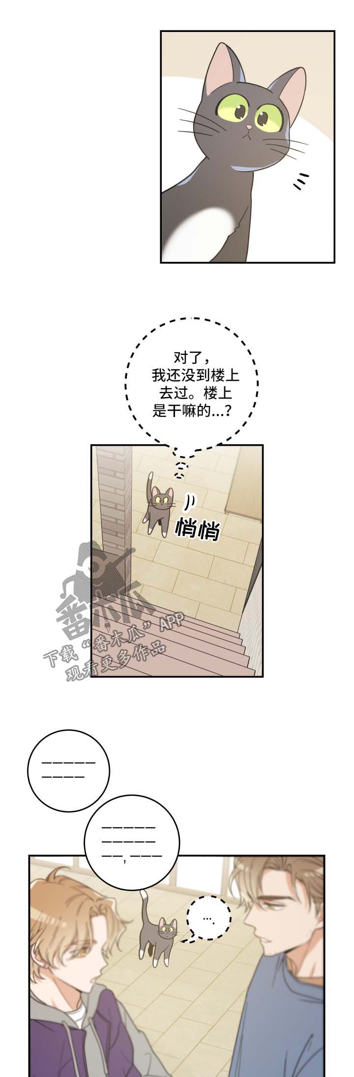 《亲爱的喵君》漫画最新章节第44章快乐生活免费下拉式在线观看章节第【12】张图片