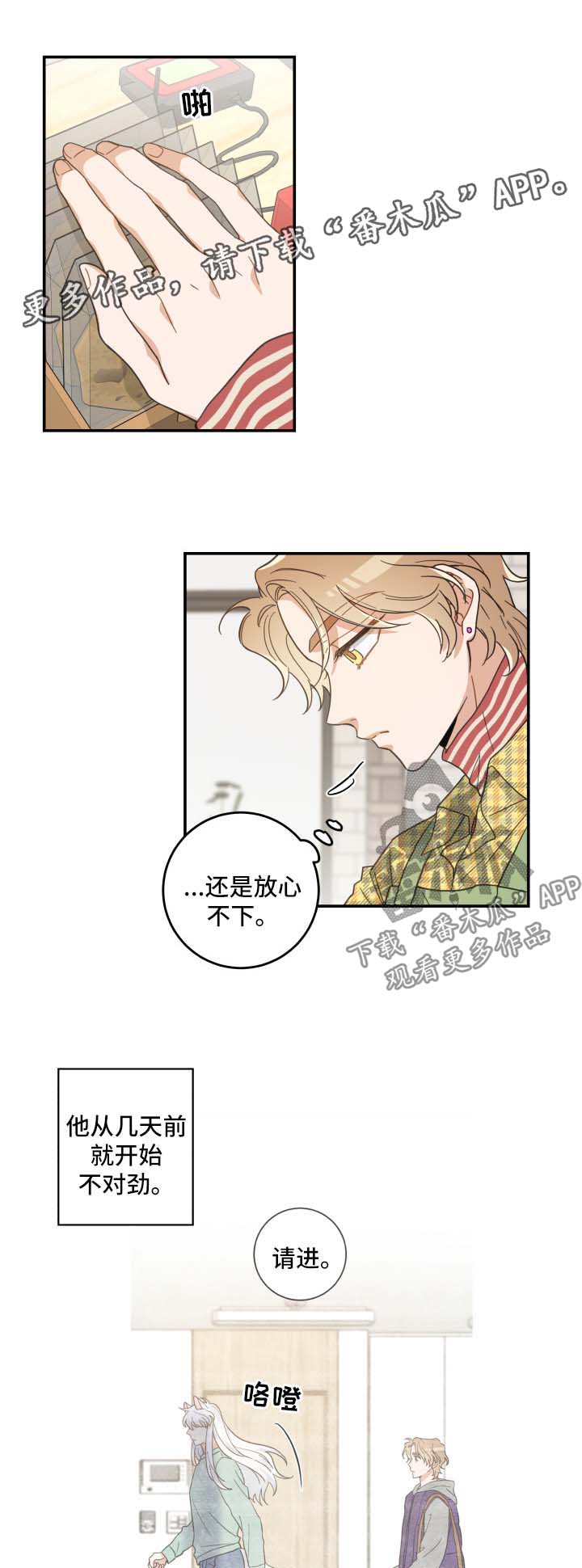 《亲爱的喵君》漫画最新章节第46章不能一起免费下拉式在线观看章节第【2】张图片