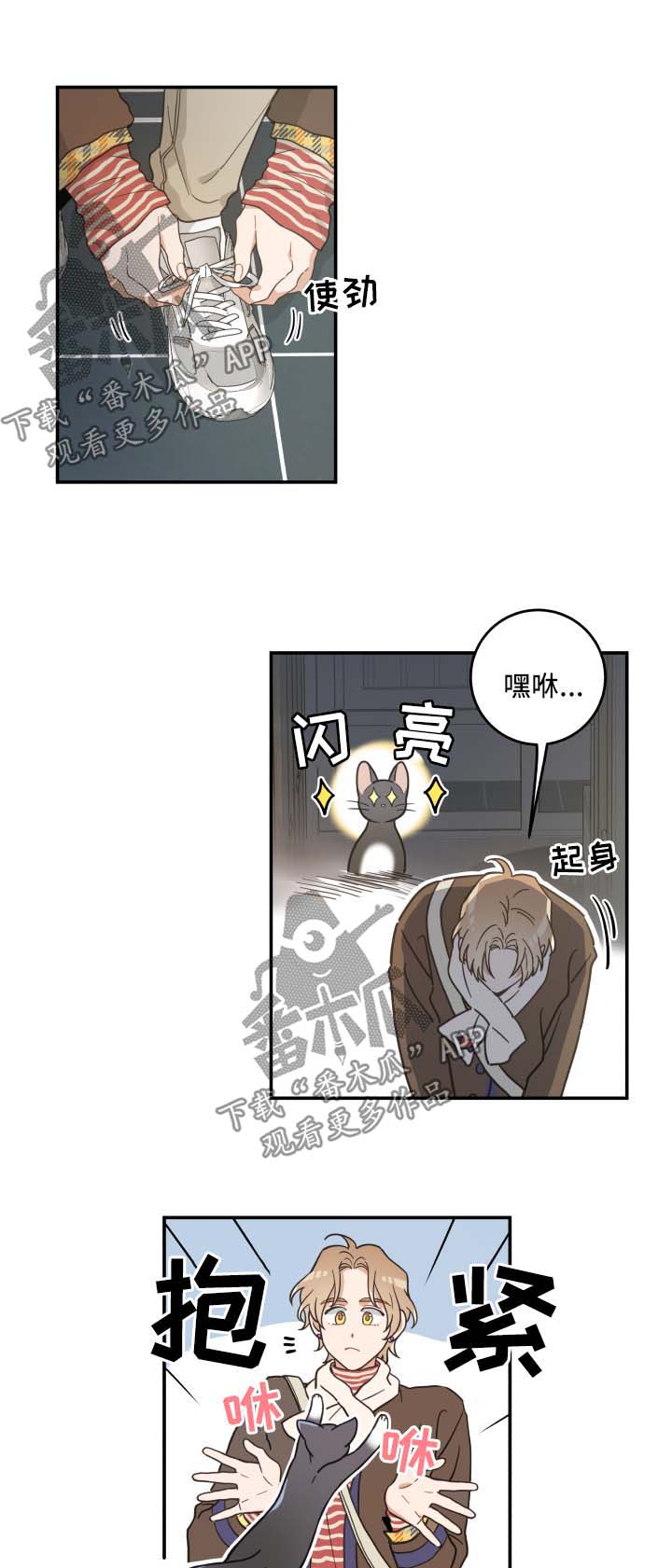 《亲爱的喵君》漫画最新章节第46章不能一起免费下拉式在线观看章节第【13】张图片