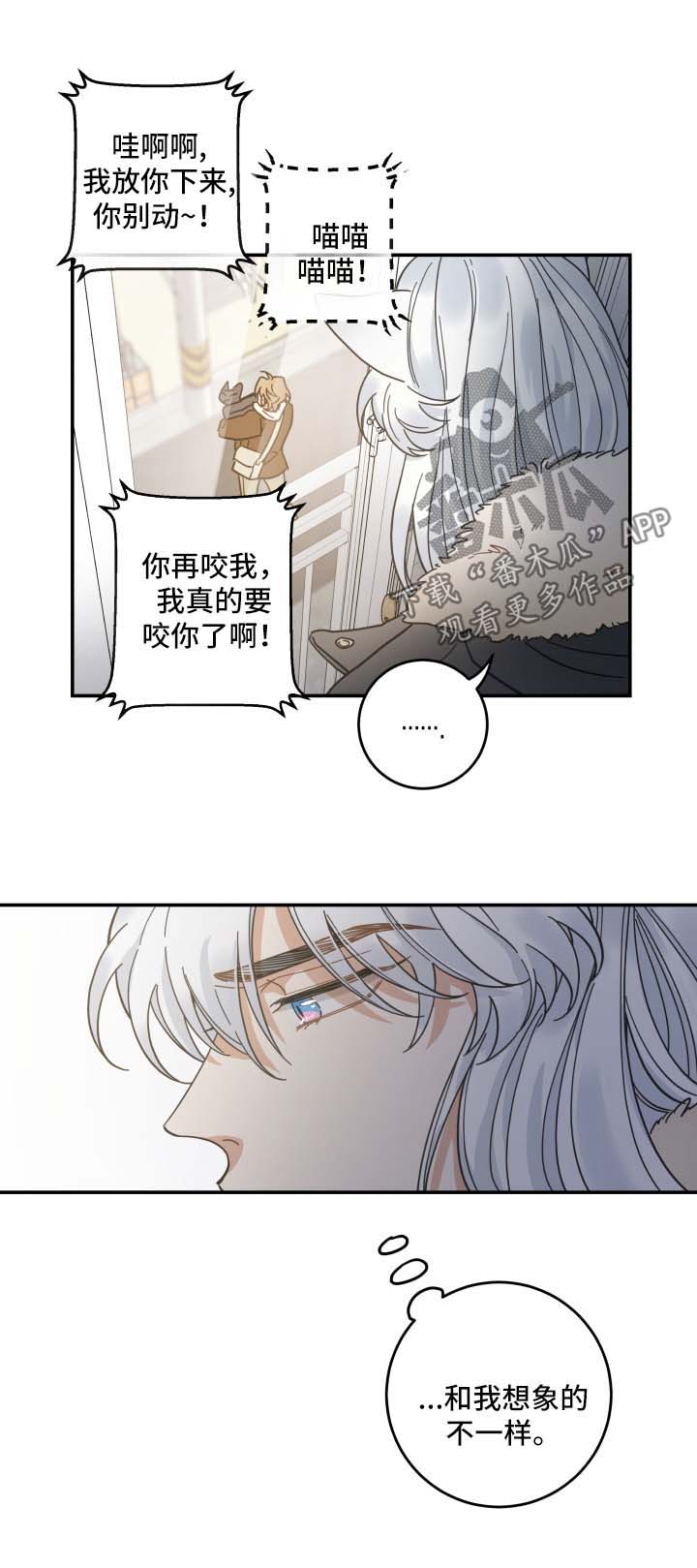 《亲爱的喵君》漫画最新章节第46章不能一起免费下拉式在线观看章节第【4】张图片