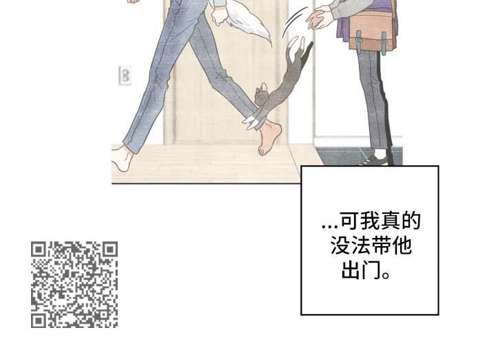 《亲爱的喵君》漫画最新章节第46章不能一起免费下拉式在线观看章节第【1】张图片