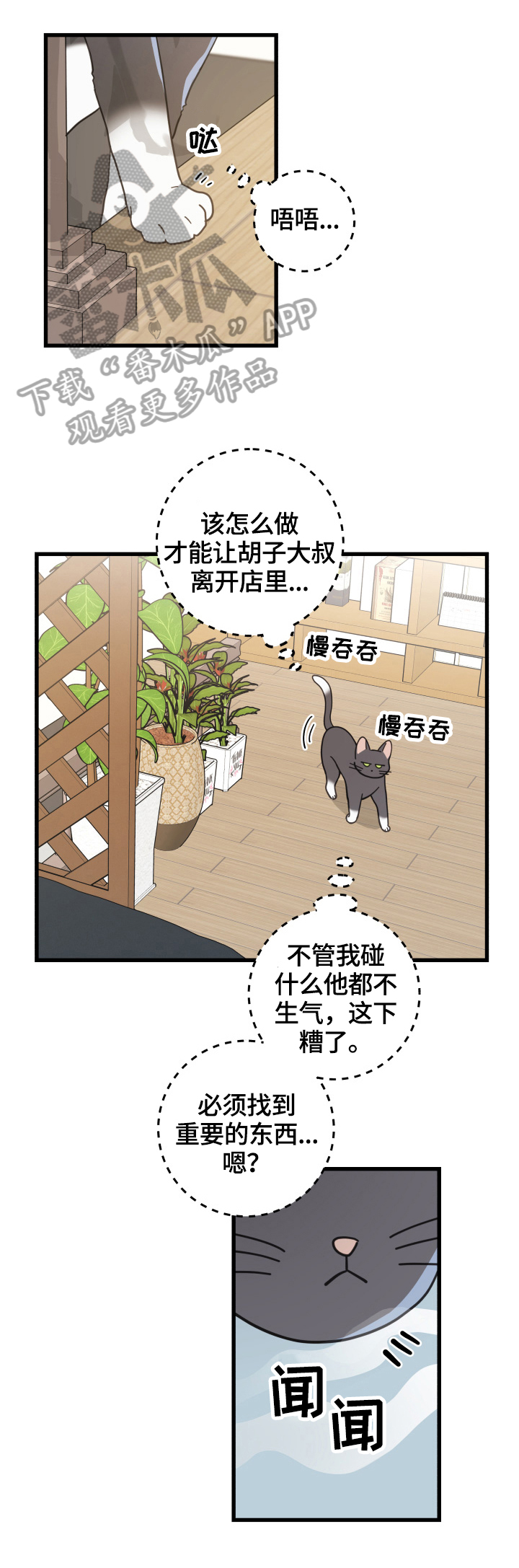 《亲爱的喵君》漫画最新章节第56章不能碰的东西免费下拉式在线观看章节第【7】张图片