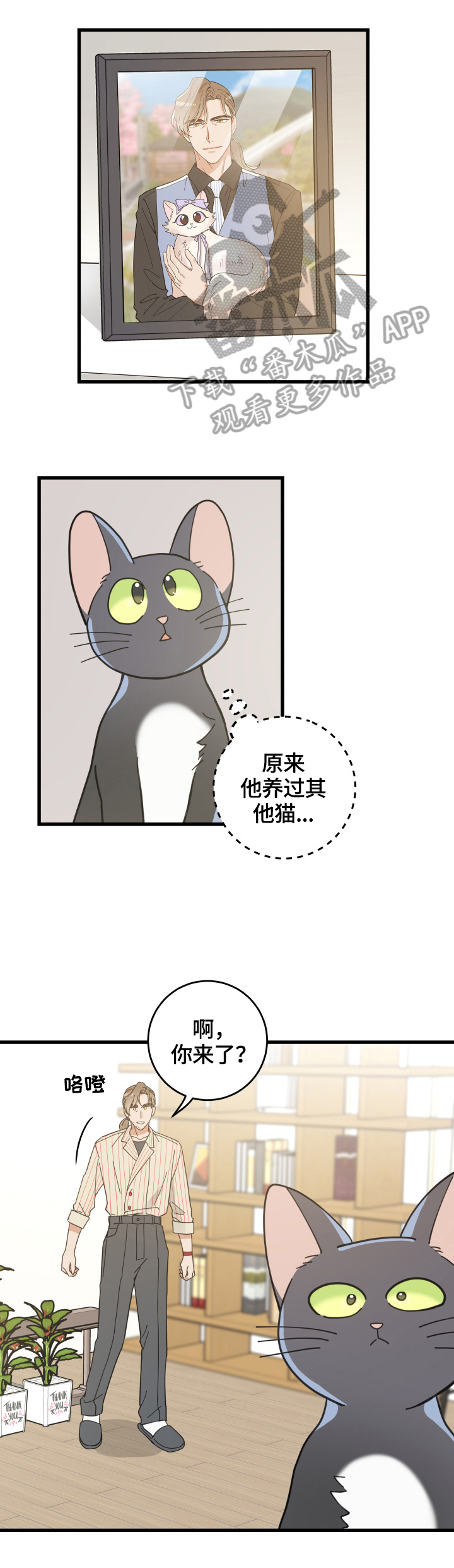 《亲爱的喵君》漫画最新章节第56章不能碰的东西免费下拉式在线观看章节第【4】张图片