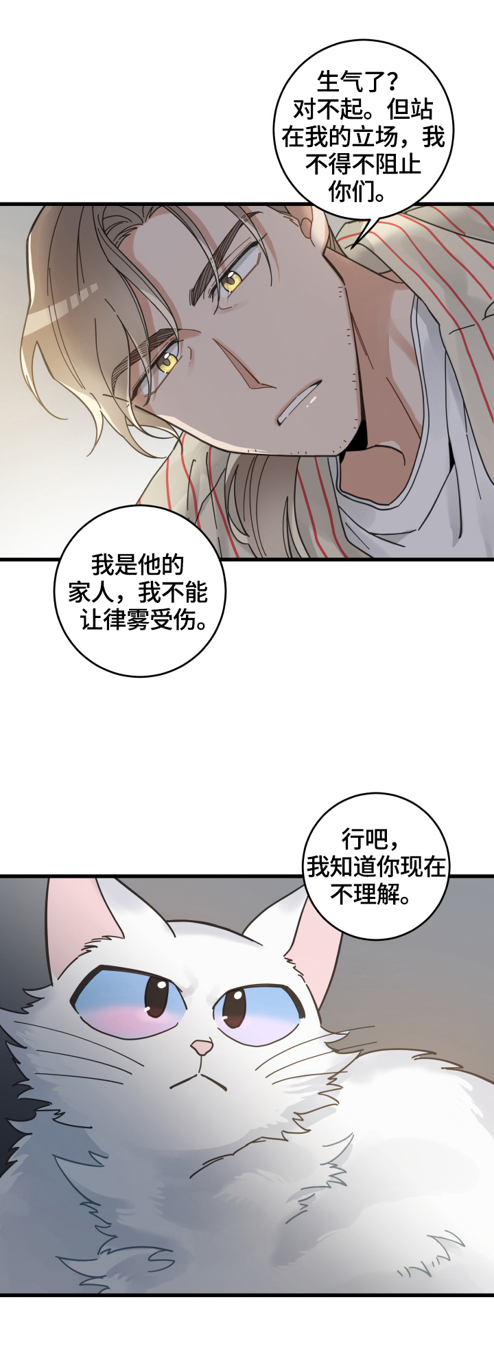 《亲爱的喵君》漫画最新章节第60章悲剧免费下拉式在线观看章节第【5】张图片