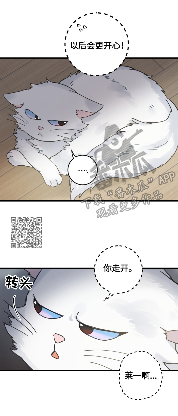 《亲爱的喵君》漫画最新章节第60章悲剧免费下拉式在线观看章节第【7】张图片