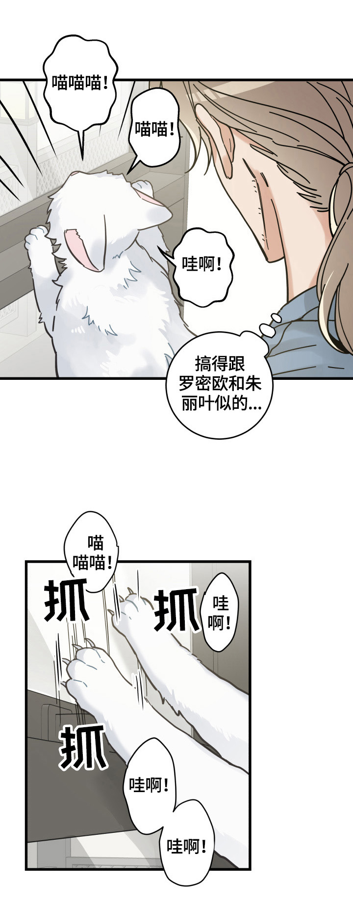 《亲爱的喵君》漫画最新章节第62章拒绝免费下拉式在线观看章节第【8】张图片