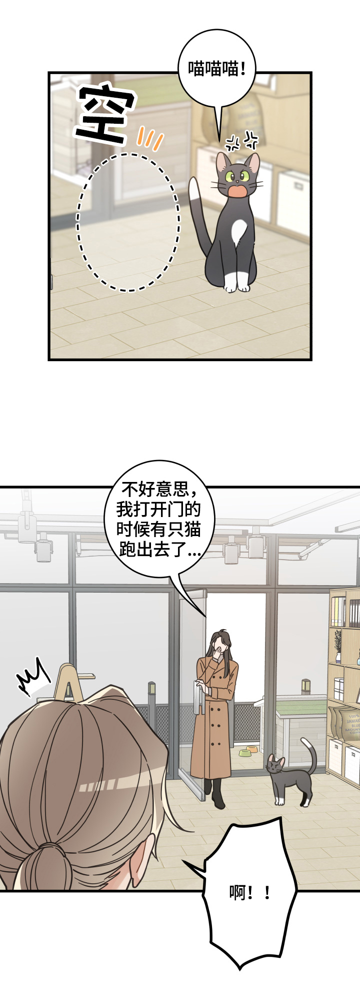 《亲爱的喵君》漫画最新章节第64章逃走免费下拉式在线观看章节第【5】张图片