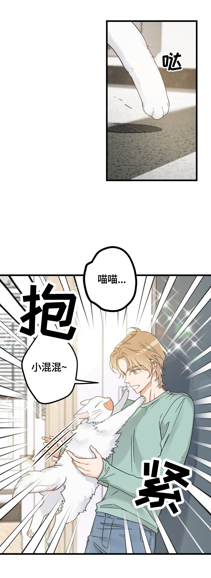 《亲爱的喵君》漫画最新章节第65章忍不了免费下拉式在线观看章节第【8】张图片