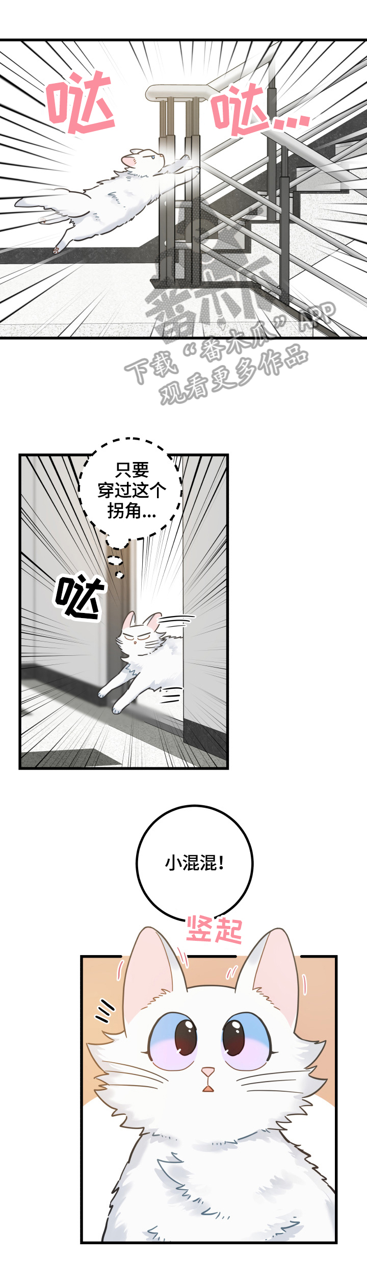 《亲爱的喵君》漫画最新章节第65章忍不了免费下拉式在线观看章节第【10】张图片