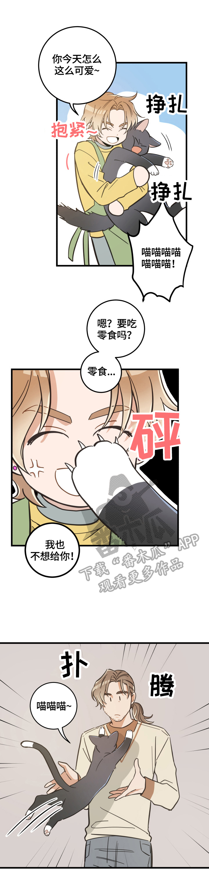 《亲爱的喵君》漫画最新章节第69章送伞免费下拉式在线观看章节第【8】张图片