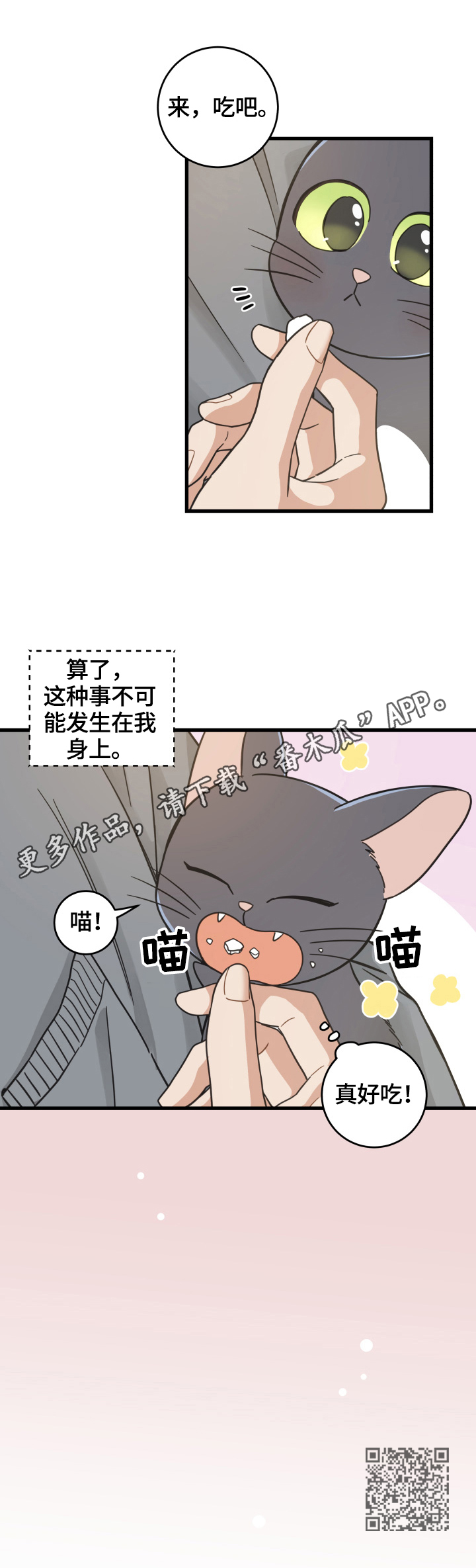 《亲爱的喵君》漫画最新章节第70章安慰免费下拉式在线观看章节第【1】张图片