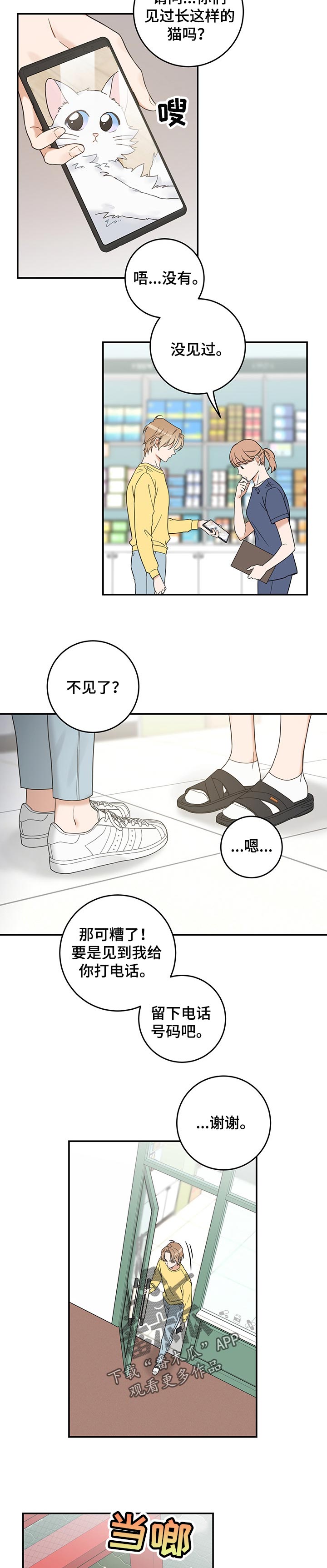 《亲爱的喵君》漫画最新章节第106章寻找免费下拉式在线观看章节第【8】张图片