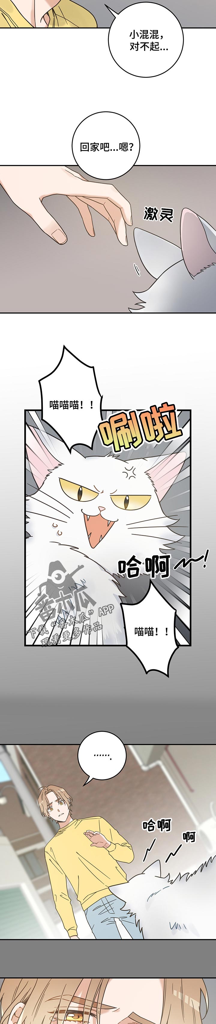 《亲爱的喵君》漫画最新章节第106章寻找免费下拉式在线观看章节第【2】张图片