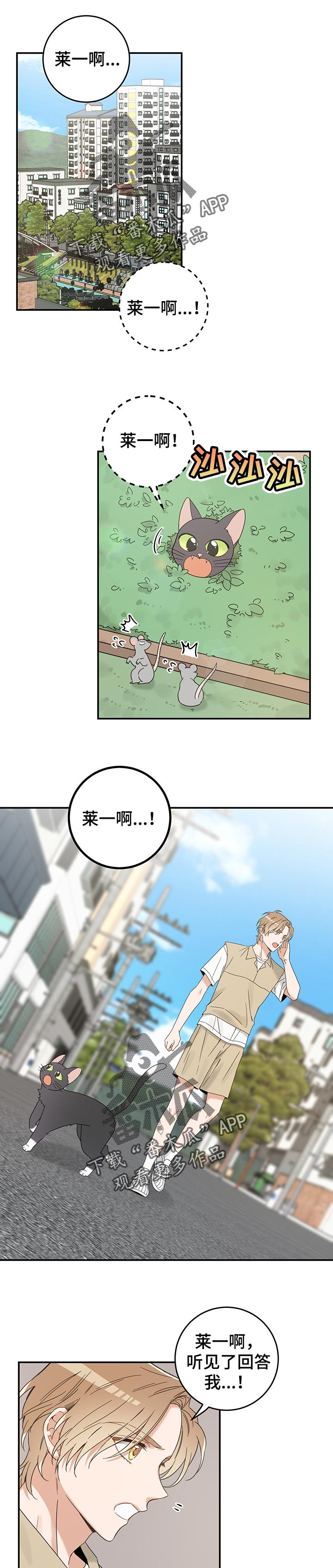 《亲爱的喵君》漫画最新章节第108章有事要说免费下拉式在线观看章节第【9】张图片