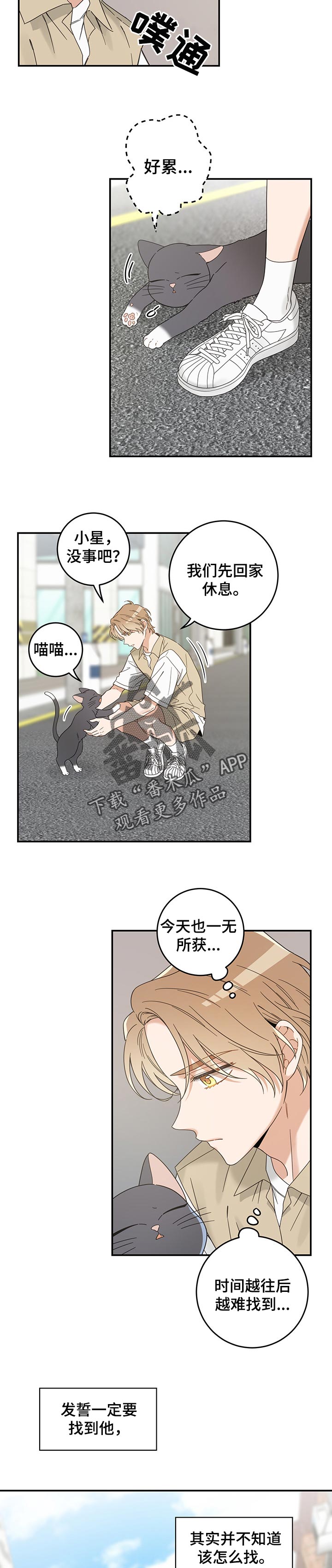 《亲爱的喵君》漫画最新章节第108章有事要说免费下拉式在线观看章节第【8】张图片