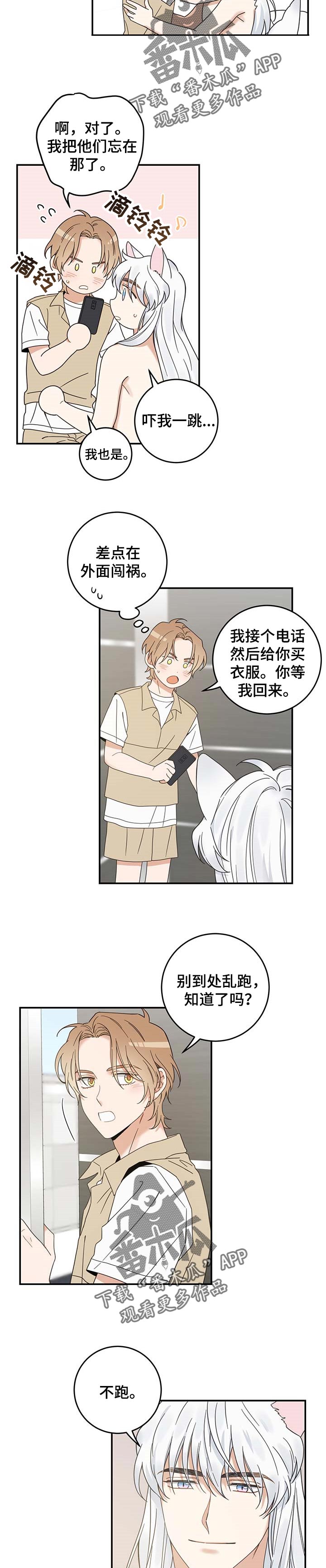 《亲爱的喵君》漫画最新章节第112章不要再乱跑了免费下拉式在线观看章节第【2】张图片